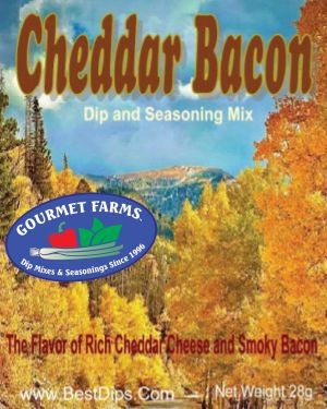 Green Onion Dip and Seasoning Mix